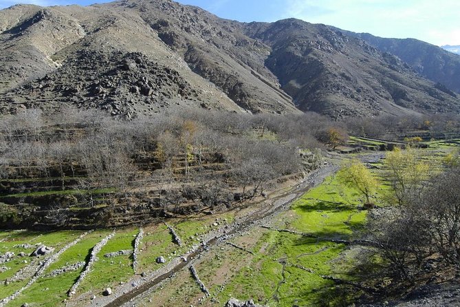 Marrakech day tour to Atlas Mountains & Ourika valley - What the Tour Includes, and Why No-Food-Is-Important