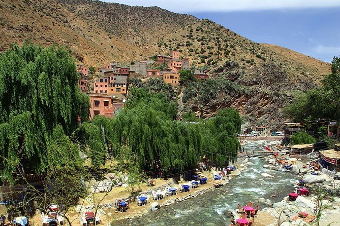 Marrakech day tour to Atlas Mountains & Ourika valley - Guide Quality, Safe Driving, and Getting Flexibility for Real Life