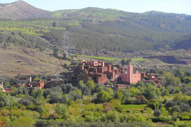 Marrakech day tour to Atlas Mountains & Ourika valley - Value Check: $49.58 for Private Transport and Local Guides
