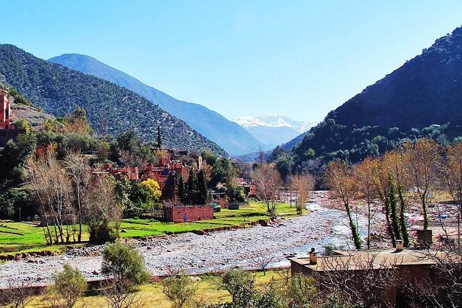 Marrakech day tour to Atlas Mountains & Ourika valley - Who Should Book This Atlas and Ourika Day Trip