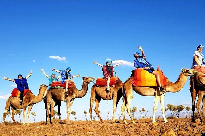 Marrakech Day Tour to the Atlas Mountains & Camel Ride Three Valleys, Waterfalls - Meeting up in Marrakech: pickup timing and what to expect on the road