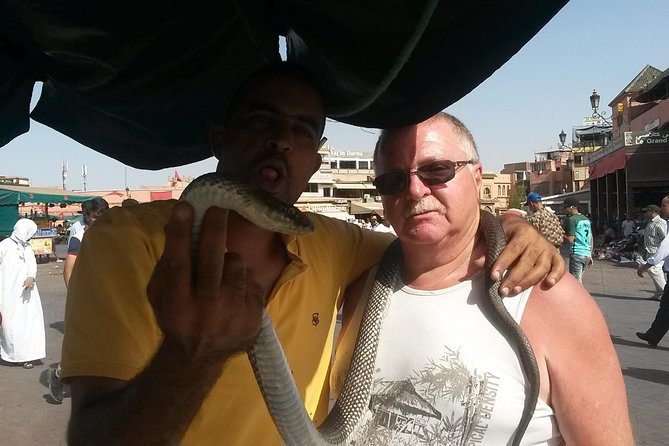 Marrakech day trip from Agadir & Taghazout - Guides, Communication, and Languages: Getting Help in the Right Way