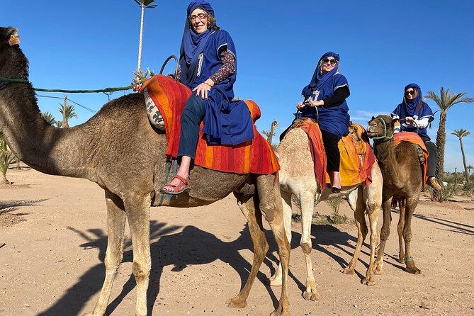 Marrakech day Trip from Casablanca with FREE Camel Ride - Medina of Marrakech, Souk Semmarine, and the art of not getting lost