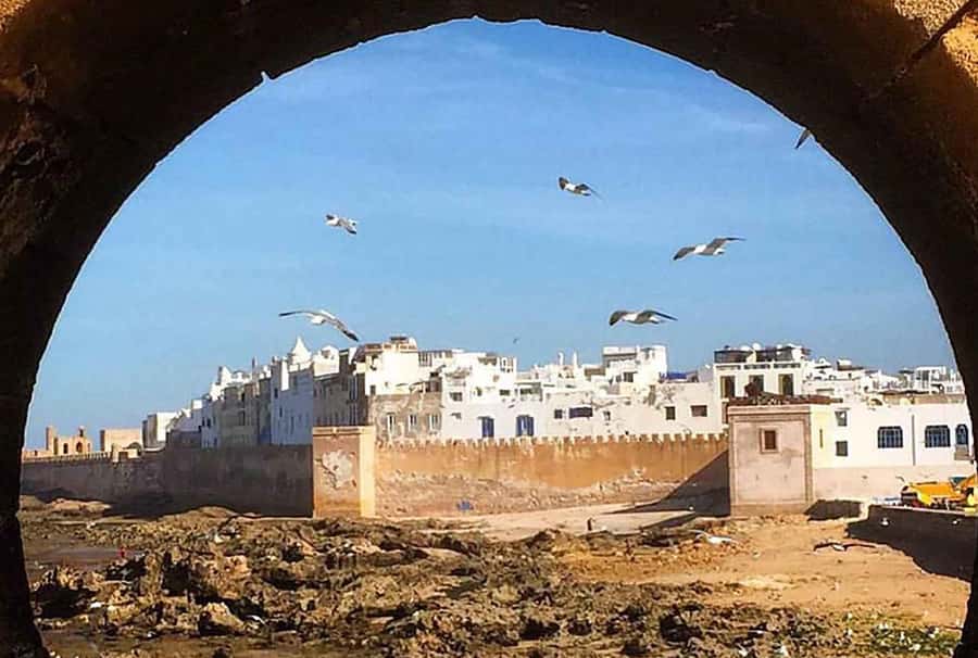 Marrakech: Day Trip to Essaouira - Port of Essaouira: where the day’s work happens