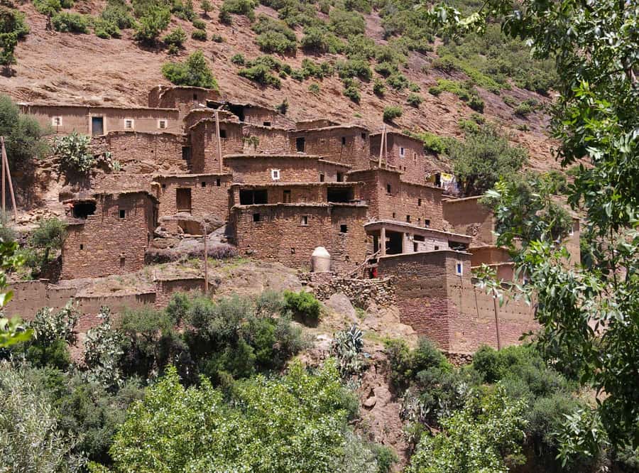 Marrakech Day Trip to Ourika valley & Waterfalls - Key Things to Know Before You Go