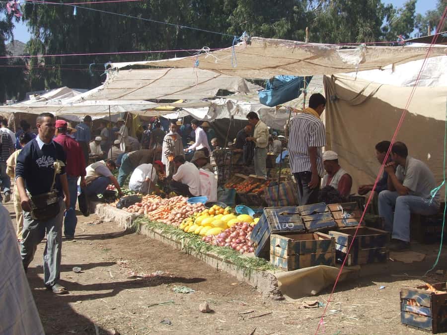 Marrakech Day Trip to Ourika valley & Waterfalls - Morning Pickup and the High Atlas Drive: Where the Day Begins