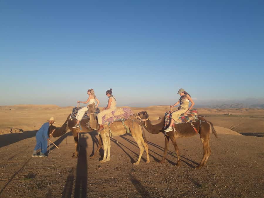 Marrakech Day Trip to Ourika valley & Waterfalls - The Berber Village Visit and Mint Tea: More Than a Photo Stop