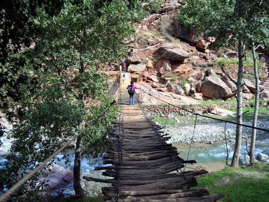 Marrakech Day Trip to Ourika valley & Waterfalls - Ourika Valley Arrival: The Views, the Timing, and the Pace