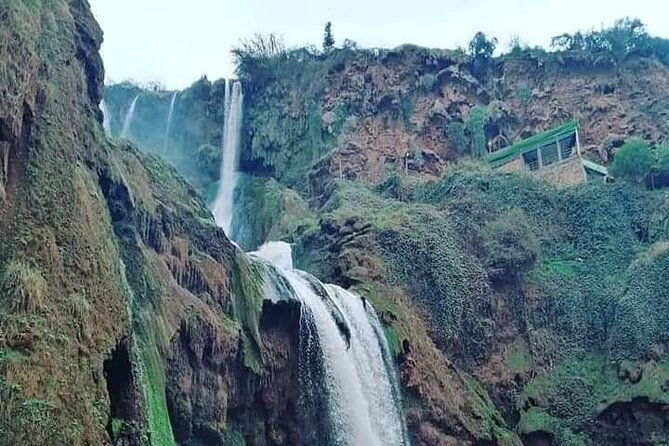 marrakech : day trip to ouzoud waterfalls - Ouzoud Waterfalls: 110 Meters, Monkeys, and Real Free Time