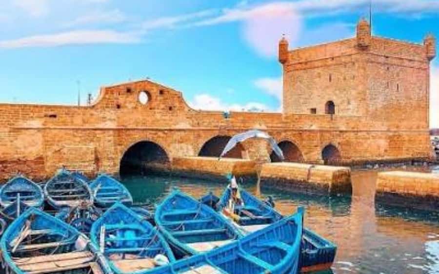Marrakech: Day Trip to the Beautiful and Historic Essaouira - Back to Marrakech by 5 PM: When the Day Tightens Up