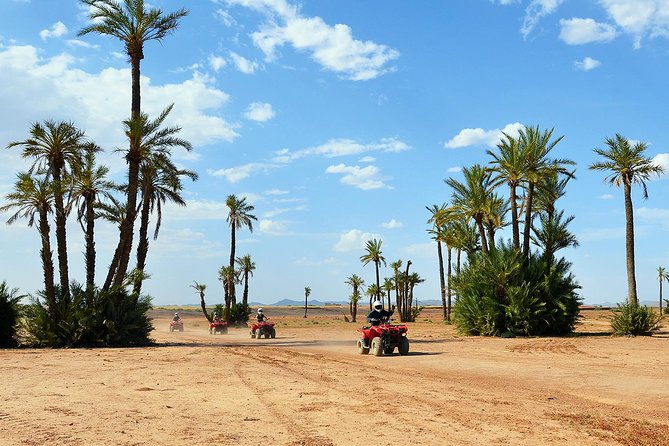 Marrakech Desert and Palm Grove Quad Bike Tour - Key Highlights Worth Paying Attention To
