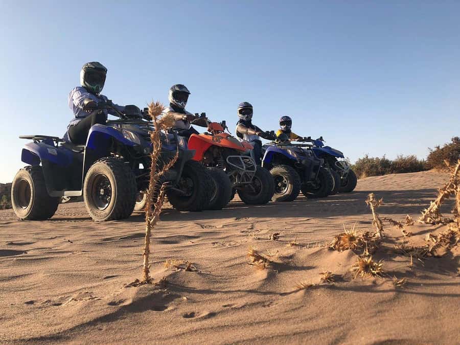 Marrakech: Desert and Palm Grove Quad Tour with Tea - Palm grove break for photos: how to use your time well