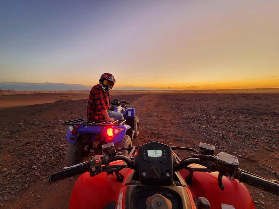 Marrakech: Desert and Palm Grove Sunset Quad Tour with Tea - Key highlights worth showing up for