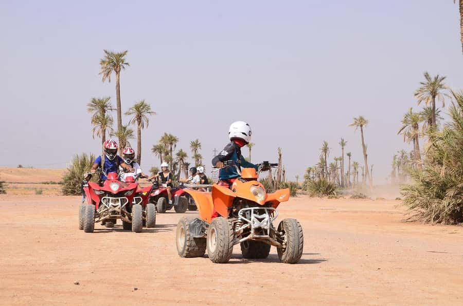 Marrakech: Desert and Palm Grove Sunset Quad Tour with Tea - Sunset in the palm grove: where the photos actually happen