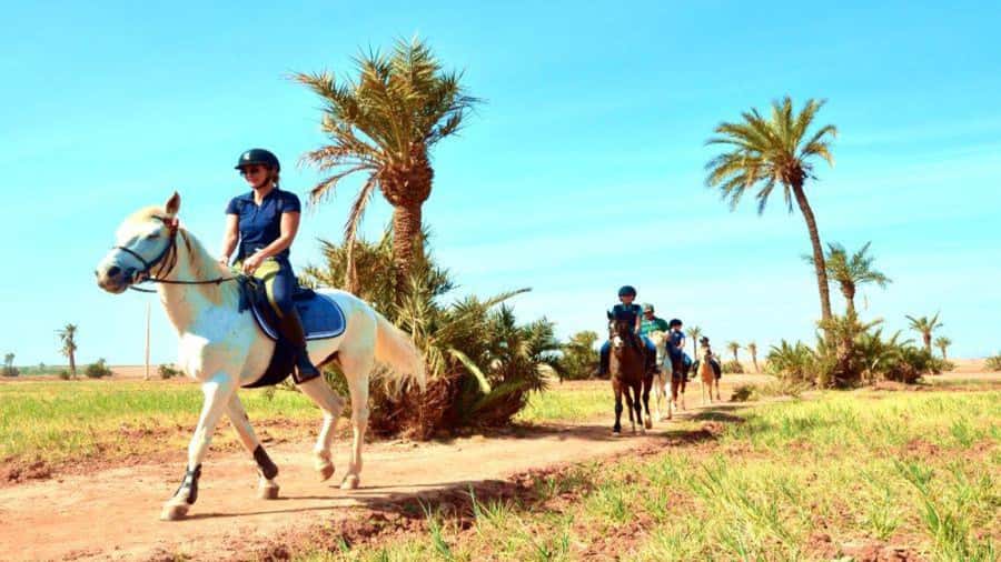 Marrakech: Desert and Palmeraie Horse Riding Tour & Transfer - From Your Marrakech Hotel to a Quiet Eco-Lodge Base