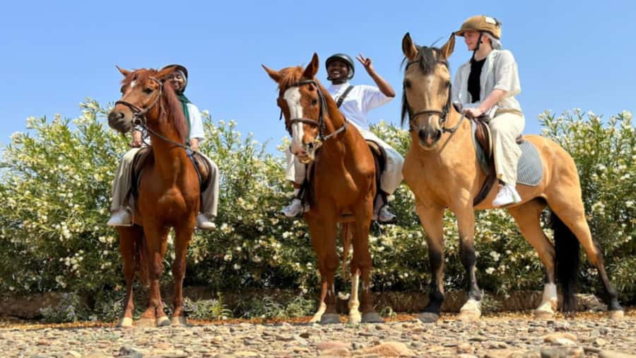 Marrakech: Desert and Palmeraie Horse Riding Tour & Transfer - Clean Stables and Safety Gear: What Happens Before You Ride