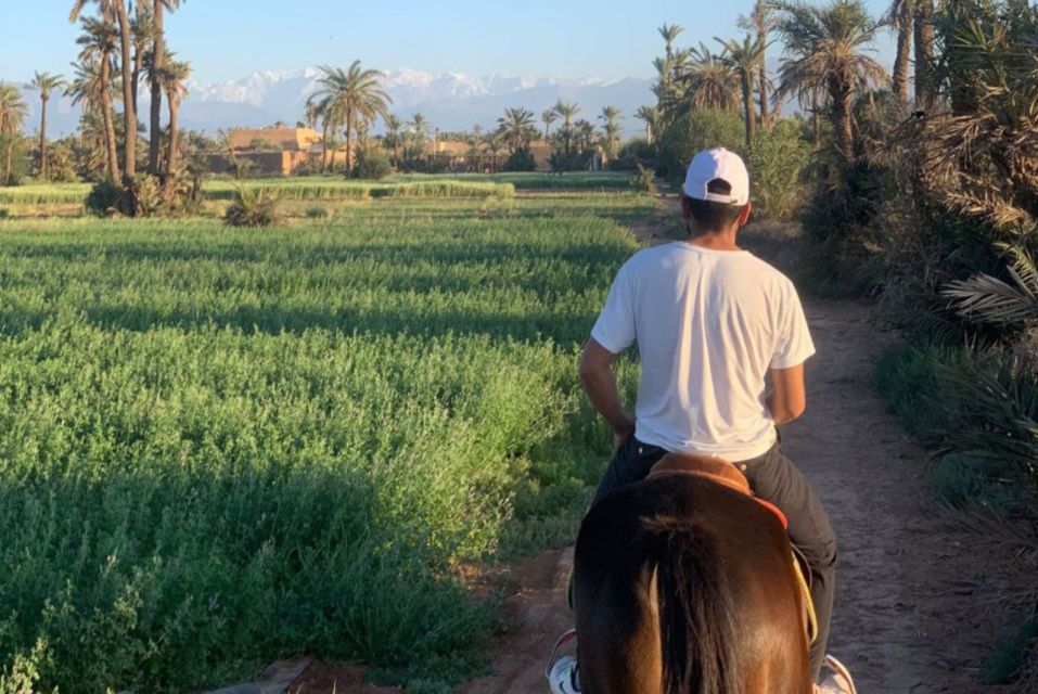 Marrakech: Desert and Palmeraie Horse Riding Tour & Transfer - Timing, Transfers, and Communication Tips That Save Headaches