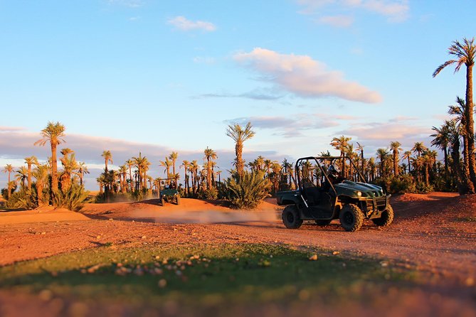 Marrakech Desert Buggy Tour Including Berber Tea Break and transfer - Price and Timing: What the 4 Hours Really Includes