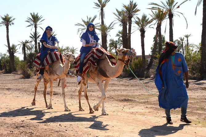 Marrakech Desert Camel Ride - Key Highlights to Know Before You Go