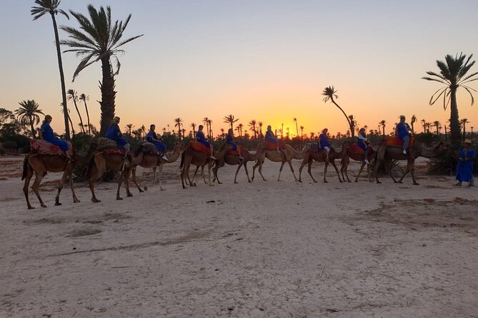 Marrakech Desert Camel Ride - Ouahat Sidi Brahim and the Palmeraie: What You Really See
