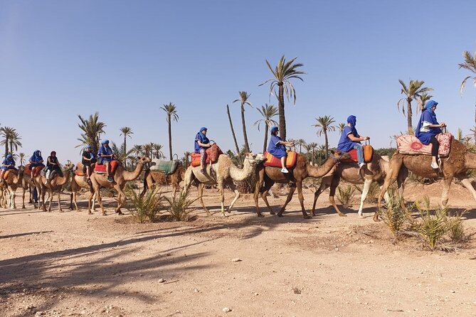 Marrakech Desert Camel Ride - Berber Mint Tea in a Traditional Tent: Why This Break Matters