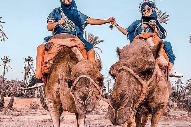 Marrakech Desert Camel Ride - Small-Group Flow: Guides, Timing, and Family-Friendly Comfort