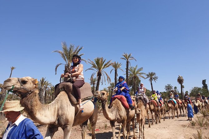 Marrakech Desert Camel Ride - Price and Value for a 2-Hour Marrakech Camel Ride