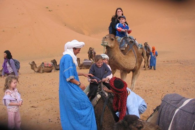 Marrakech Desert: Camel Ride, Quad Biking & Dinner Show Options - Pick your ride: 20 minutes of camel or quad biking