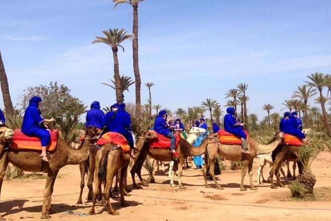 Marrakech Desert Camel Ride - Meet Your Camel: The Quick Lesson and the First Minute Feeling