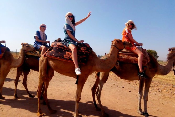 Marrakech Desert: Dinner Show with Quad Bike and Camel Ride - Camel ride at sunset: short, photogenic, and worth it