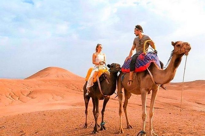 Marrakech Desert Quad and Camel ride, Lunch, and Poolside - Atlas Mountains road trip: Imlil, Kik Valley, and the argan co-op