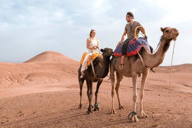 Marrakech Desert : Quad Biking, Camel Ride, Dinner Show - Who This Tour Suits Best (And Who Might Want to Choose Otherwise)