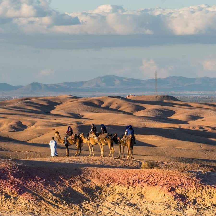Marrakech: Desert Tour with Dinner, Show and Camel Ride - Agafay Desert at Night: why this Marrakech tour feels different