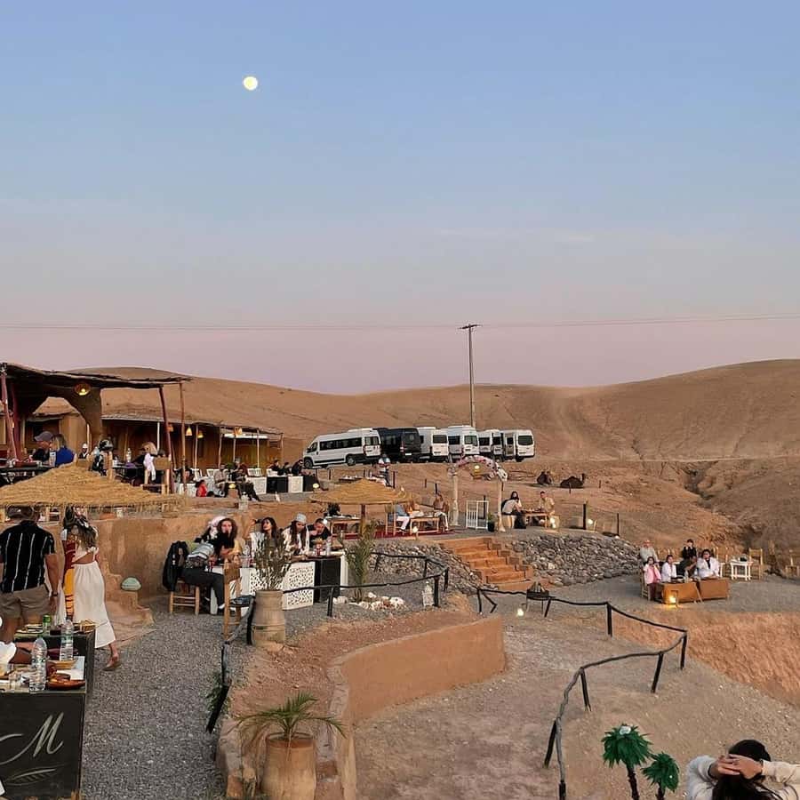 Marrakech: Desert Tour with Dinner, Show and Camel Ride - Camel ride through rocky dunes: what to expect and what to watch for