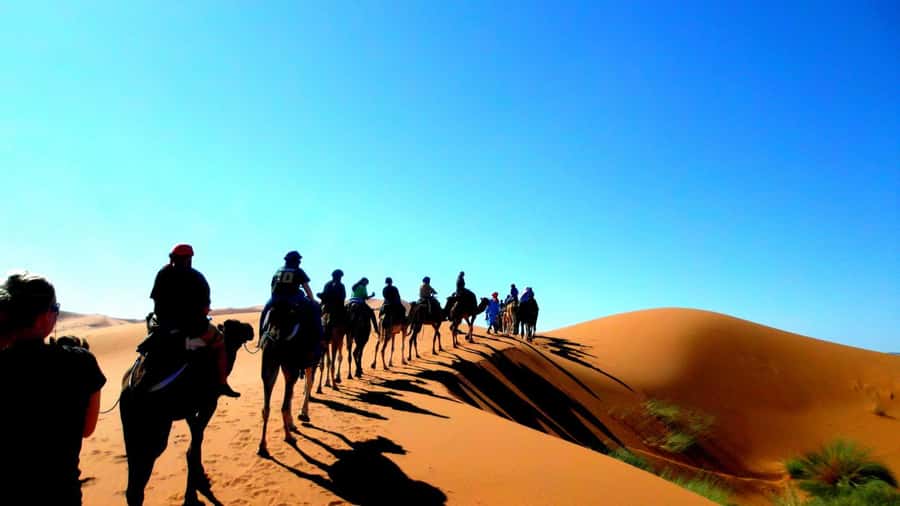 Marrakech Desert Tours 3 Days with Camel Trek and Camping - Comfort, Meals, and the Human Side (Guides Matter)