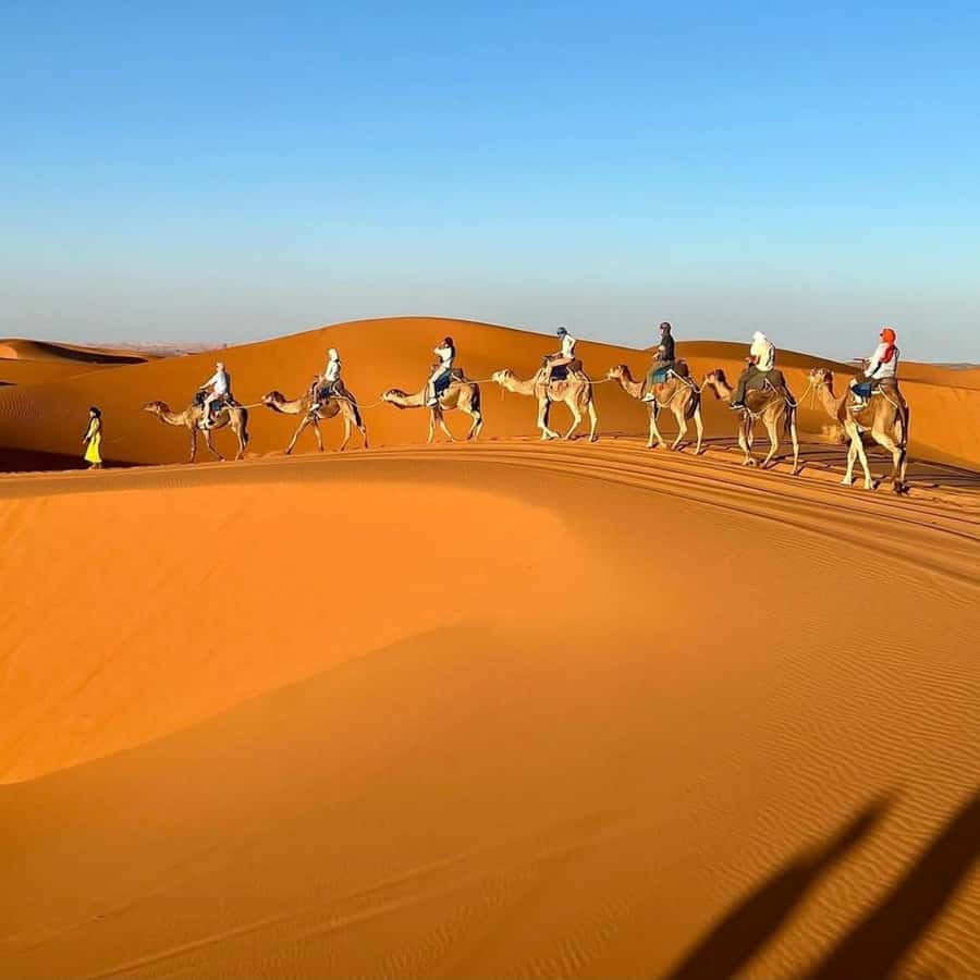 Marrakech Desert Tours 3 Days with Camel Trek and Camping - Marrakech to Merzouga in 3 Days: What This Trip Really Delivers