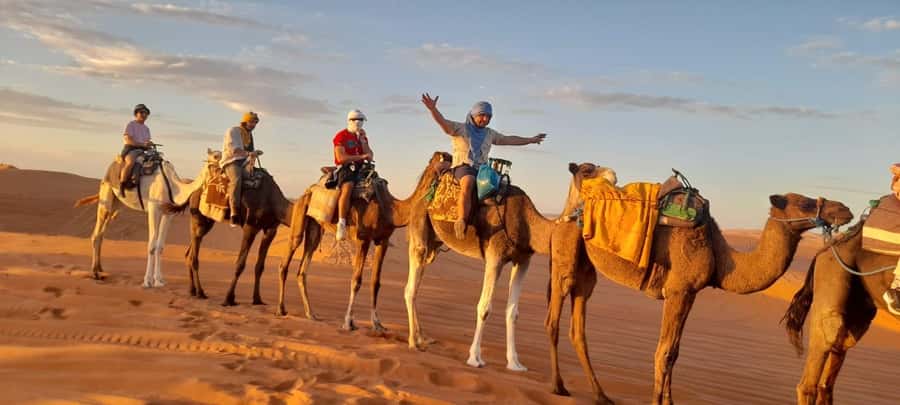 Marrakech Desert Tours 3 Days with Camel Trek and Camping - Sunrise Camel Ride and the Return to Marrakech