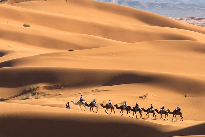 Marrakech Desert Trip Chigaga Dunes Riding Camel Sandboarding - Camel trekking and sandboarding: do them like an activity