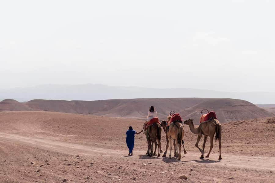 Marrakech: Dinenr In Agafay, Sunset Camel Ride & Fire show - Marrakech to Agafay Desert: the ride that sets the mood
