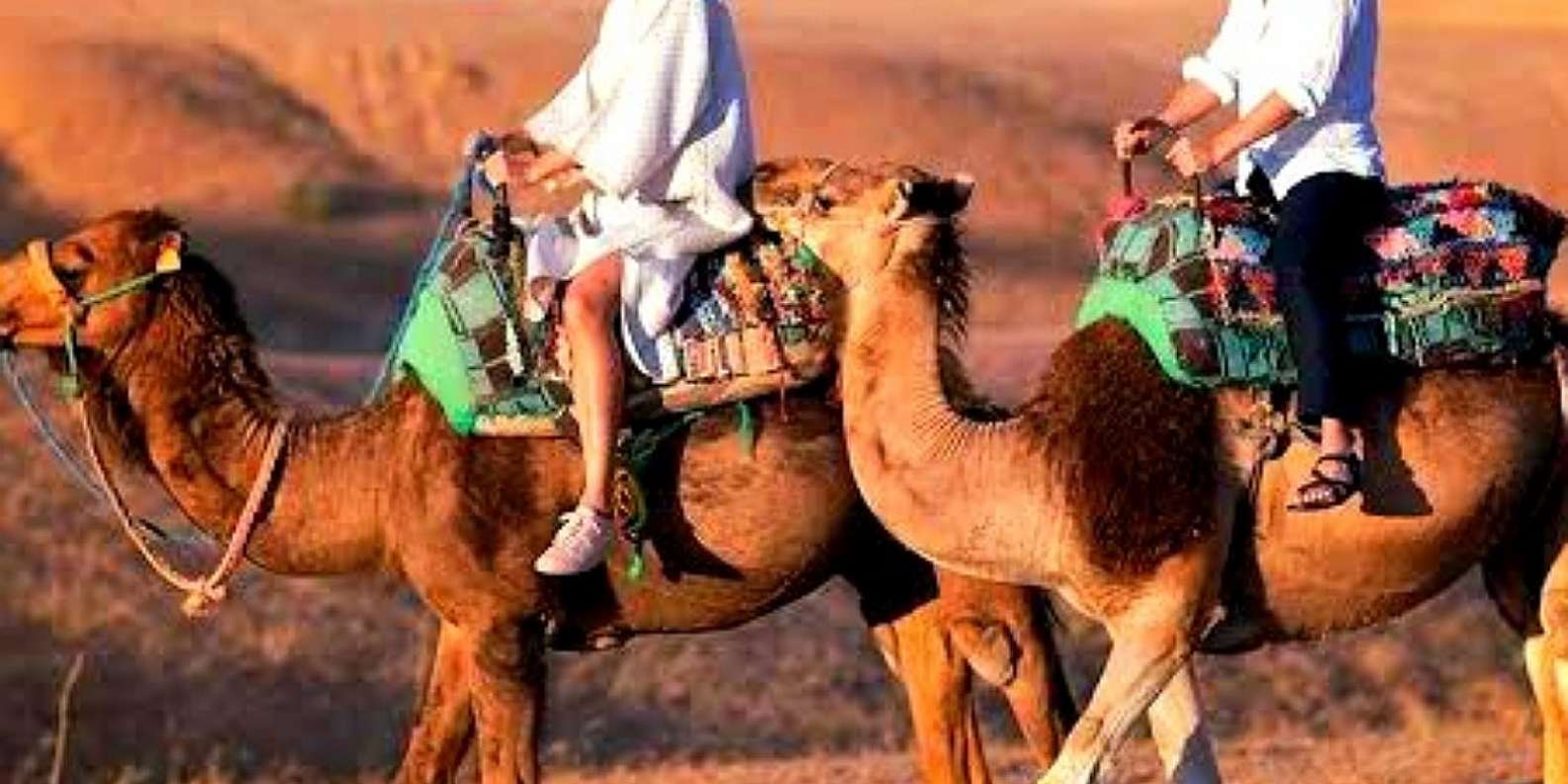Marrakech: Dinner and Quad bike Desert Agafay Stars & show - Camel Ride and Mud Houses: Short, Scenic, and Very Berber
