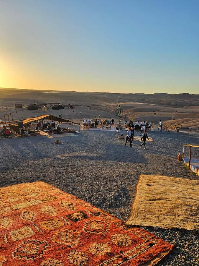 Marrakech: Dinner and Quad bike Desert Agafay Stars & show - Price and Value: Why This Feels Like a Deal at Around $14