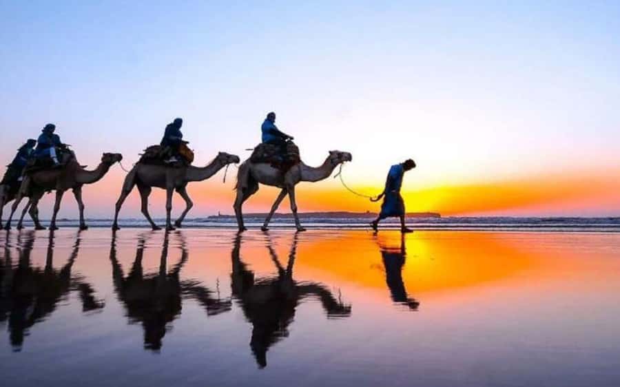 Marrakech Dinner Show Agafay Desert with Camels swiming pool - Getting Out of Marrakesh: The Air-Conditioned Ride and Evening Timing