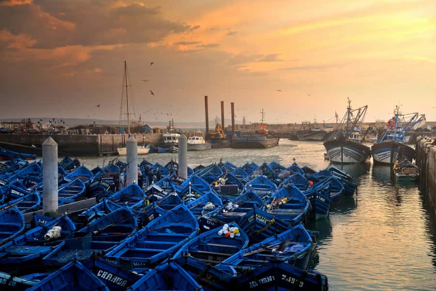 Marrakech: Essaouira Day Trip UNESCO Medina & Skala Fortress - Marrakech to Essaouira: why this Atlantic day trip works