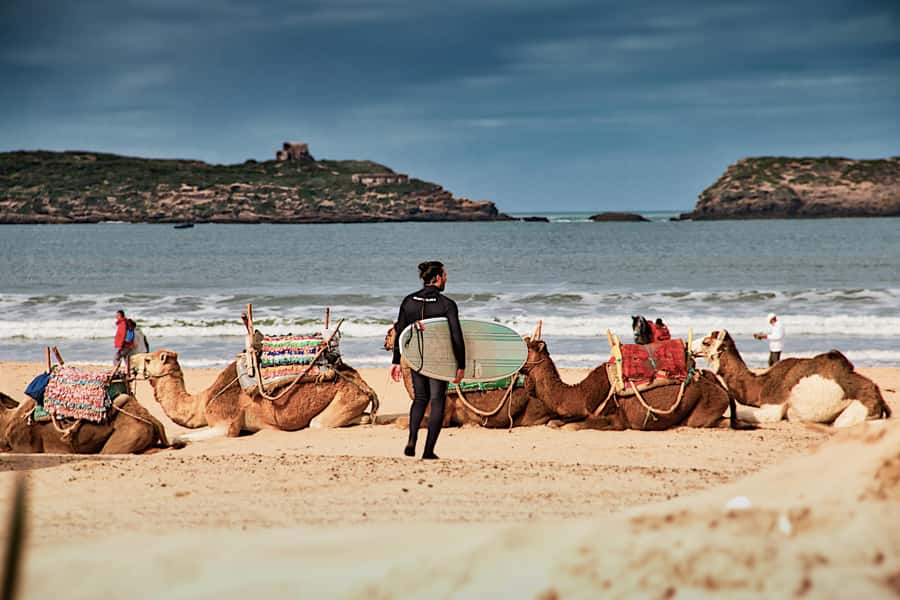 Marrakech: Essaouira Day Trip UNESCO Medina & Skala Fortress - The ride back and the secret tea stop: a nice palate cleanser
