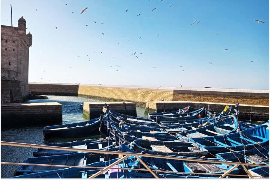 Marrakech: Essaouira Day Trip with Guided Tour - Key things I’d watch for