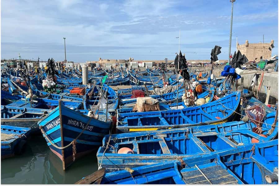 Marrakech: Essaouira Day Trip with Guided Tour - Skala de la Kasbah: Portuguese cannons, sea-breeze history, and great photos