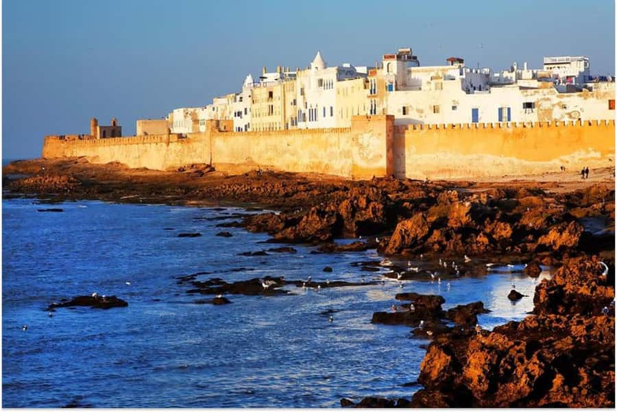 Marrakech: Essaouira Day Trip with Guided Tour - Essaouira Beach break: wind, walking, and choosing how active you feel