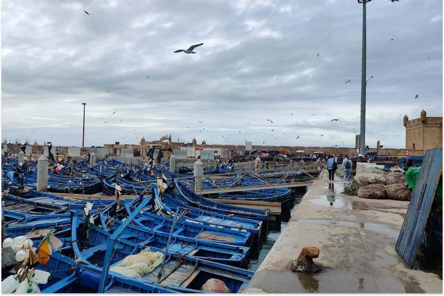Marrakech: Essaouira Day Trip with Guided Tour - Return to Marrakech: what “comfortable drive” means in practice