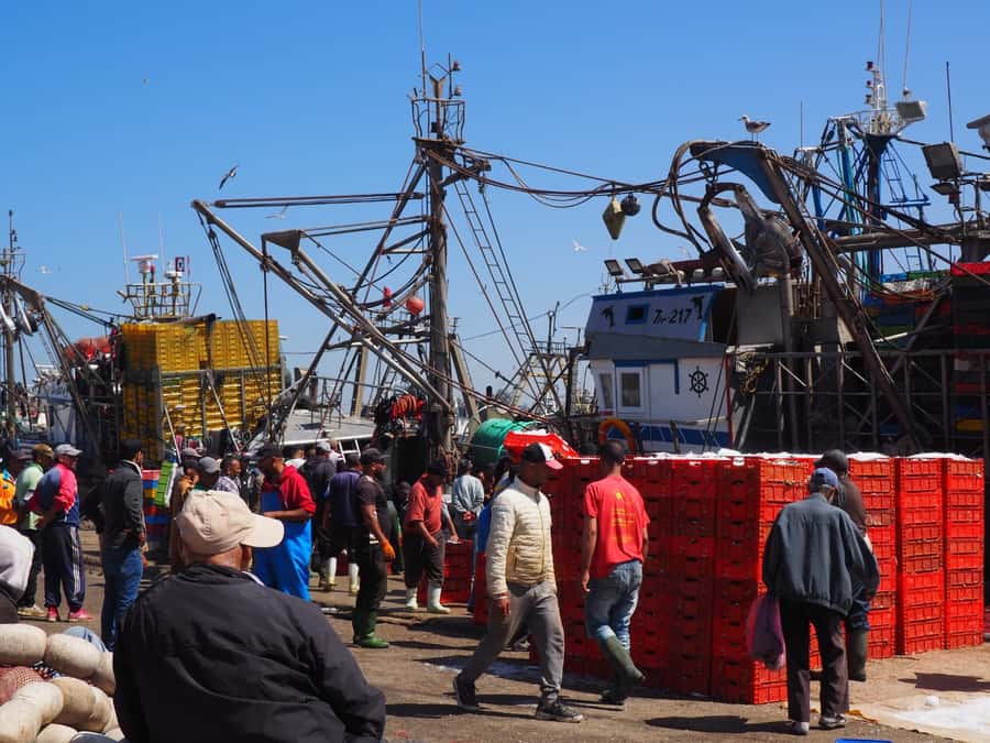 Marrakech: Essaouira Day Trip with Transfers and Co-op Visit - Key things that make this day trip worth your time