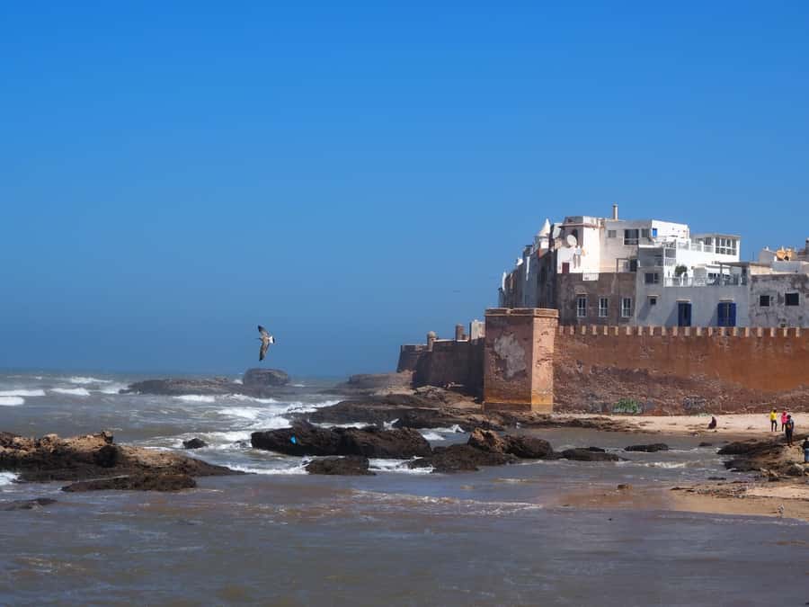 Marrakech: Essaouira Day Trip with Transfers and Co-op Visit - Marrakech to Essaouira: the day’s rhythm and ride reality